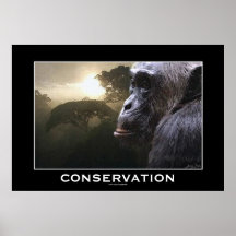 Chimpanzee Wildlife CONSERVATION Art Poster