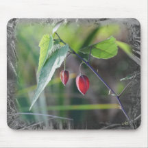 Chinese Lanterns Mousepad