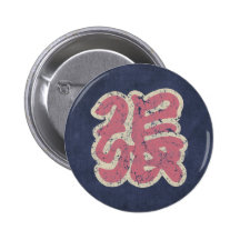 Chinese Name Chang "Vintage" Pins