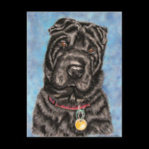 Chinese Shar-Pei Dog Art - Tia postcards