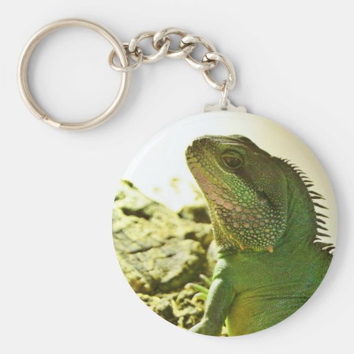 Chinese Water Dragon Keychain