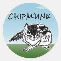 Chipmunk シール・ステッカー