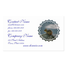 Chipmunk Business Card