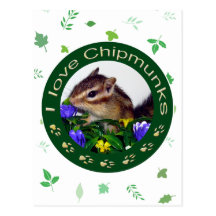 Chipmunk_Circle　(photo) 葉書き