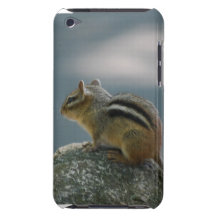 Chipmunk iTouch Case Barely There iPod Cases