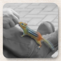Chipmunk Lunch Drink Coaster
