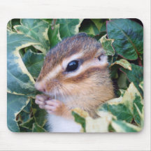 Chipmunk photo　(19) マウスパッド