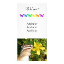 Chipmunk photo (30-19) customized photo card