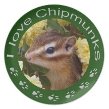 Chipmunk , Plate