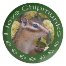 Chipmunk , Plate