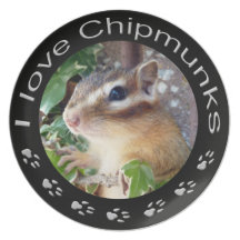 Chipmunk , Plate