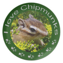 Chipmunk , Plate