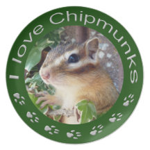 Chipmunk , Plate