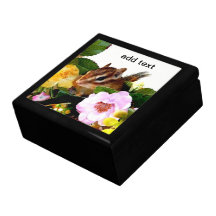 chipmunk , squirrel , gift box