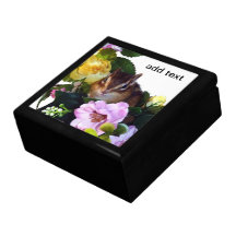chipmunk , squirrel , gift box