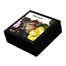 chipmunk , squirrel , gift box