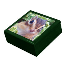 chipmunk , squirrel , gift box