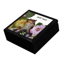 chipmunk , squirrel , gift box