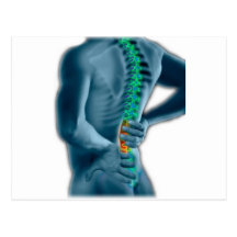 Chiropractic Post Cards