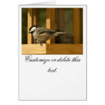 CHIS Chickadee is Suspicious Cards