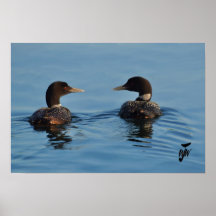Chit Chat Print