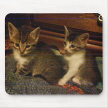 chloes 2 tabby stripe kittens 7-2-09 mousepad