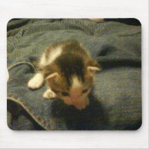 chloes black and white kitten 2 wks 6-9-09 mousepads