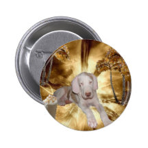 Chocolate Is Good Pinback Buttons