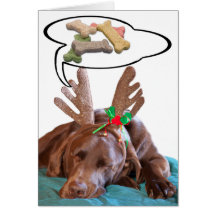 Chocolate Lab With Antlers And Treat Dreams Photog Cards