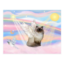 Chocolate Point Himalayan Cat  Angel Postcards