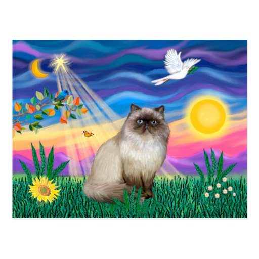 Chocolate Point Himalayan Cat  - Twilight Postcards