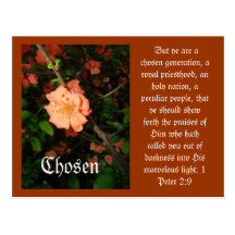 Chosen Post Cards