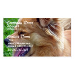 Chow Chow Business Cards