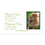 Chow Chow Business Cards