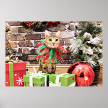 Christmas - Bengal Cat - Jack Poster