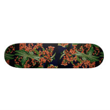 Christmas berry tree (Schinus terebinthifolius) Skateboards