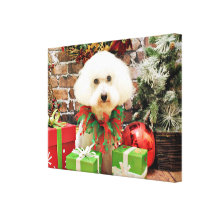 Christmas - Bichon Frise - Harley Stretched Canvas Prints