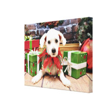 Christmas - Bichon Frise - Harley Stretched Canvas Print