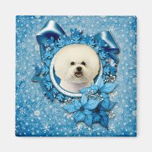 Christmas - Blue Snowflake - Bichon Frise Fridge Magnets