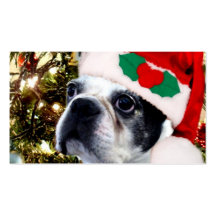 Christmas Boston terrier Business Card