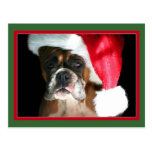 Christmas Boxer Dog postcard