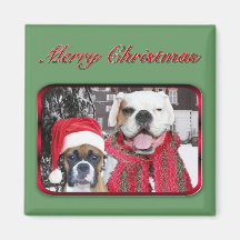 christmas  boxers magnet