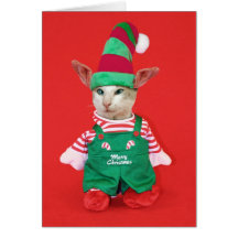 Christmas Cat Elf Cards