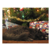 Christmas Cat Invitations