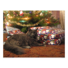 Christmas Cat Personalized Announcement