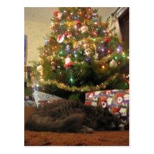 Christmas Cat Post Cards