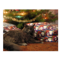 Christmas Cat Post Cards