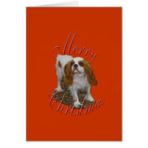 Christmas Cavalier King Charles cards