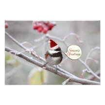 Christmas Chickadee Art Photo