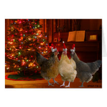 Christmas Chickens Greeting Cards